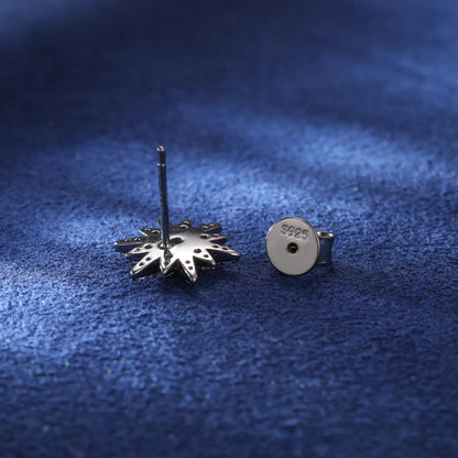 S925 Moissanite Twelve-Pointed Star Earrings
